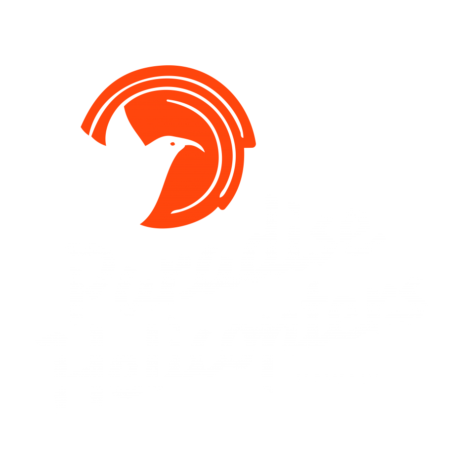 logo paradise heli